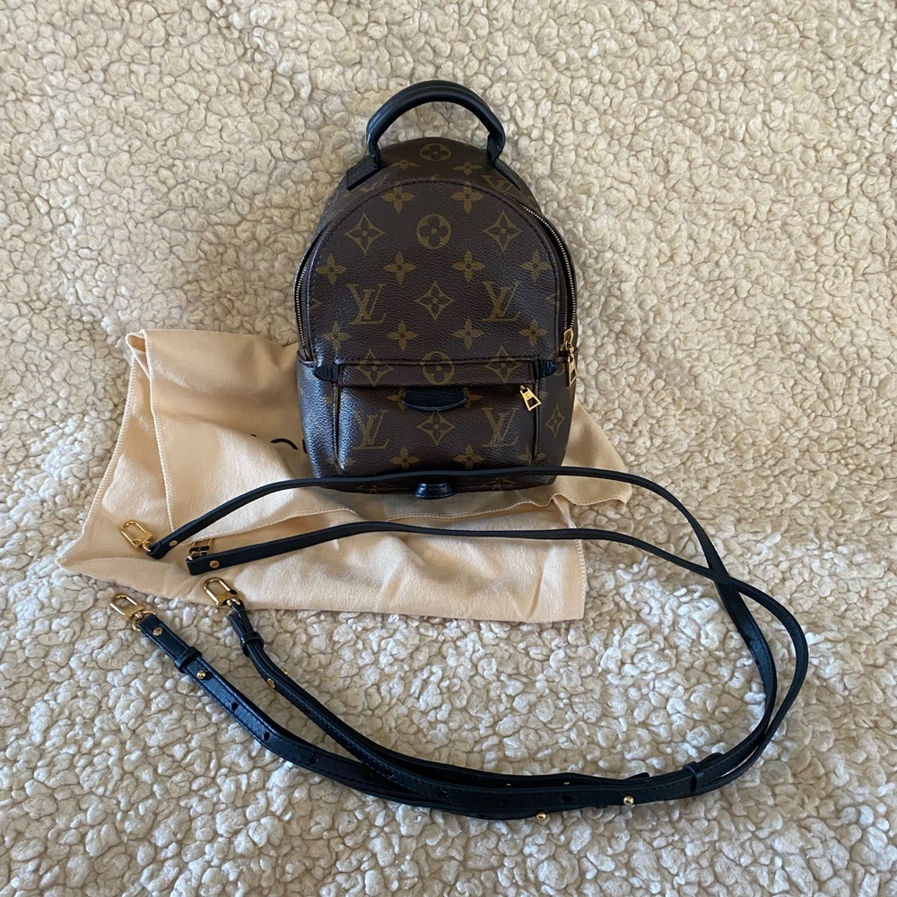 Louis Vuitton palm spring mini